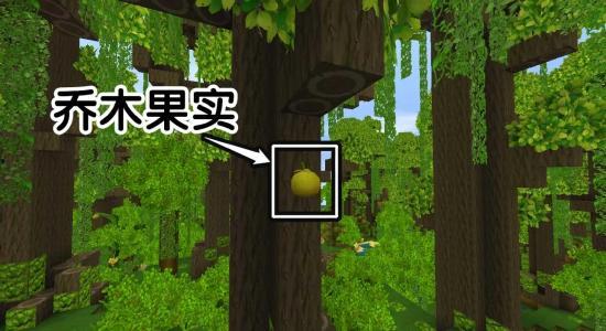 迷你小雨林爆料视频大全,揭秘神秘视频大全背后的奇幻世界  第1张